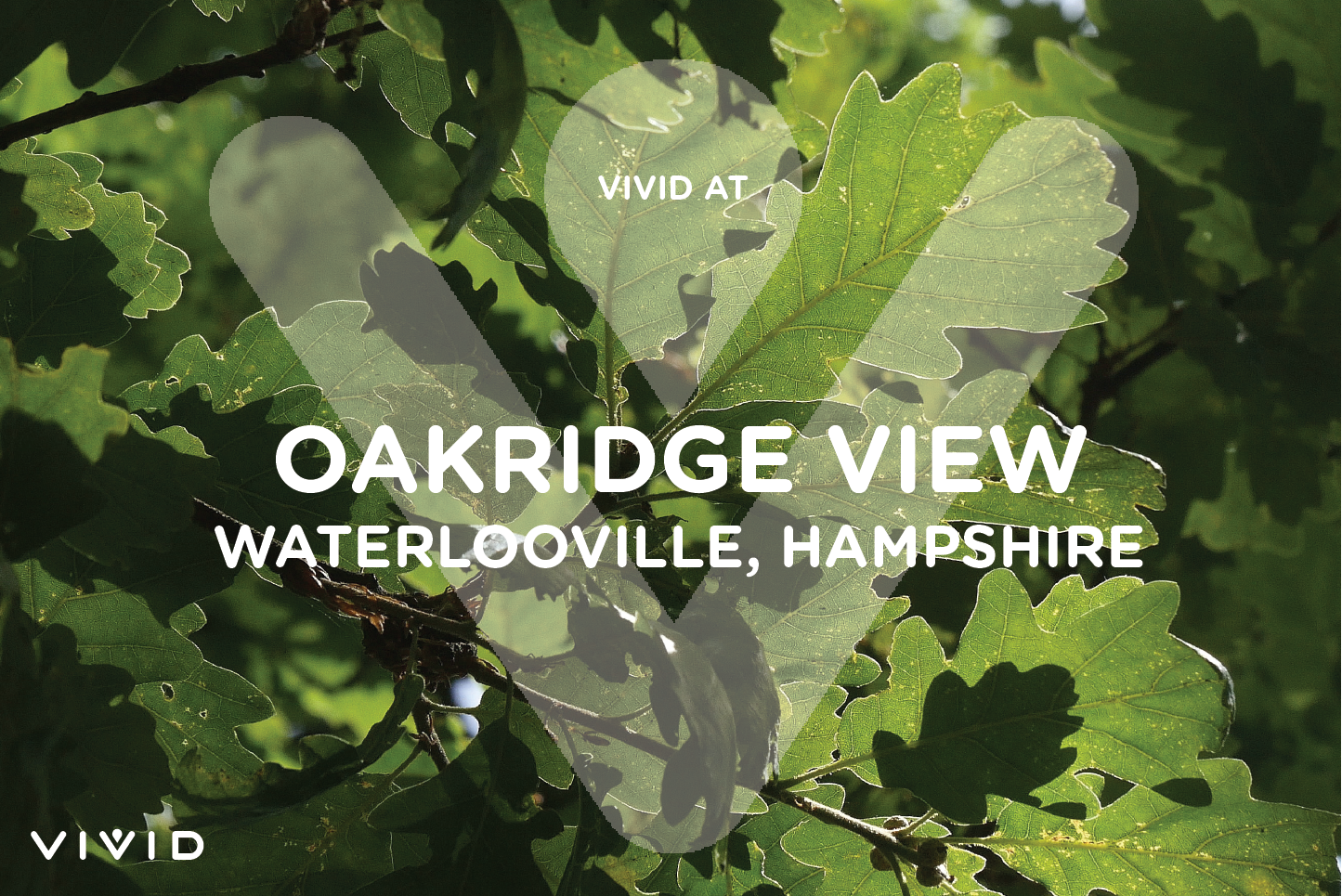 Oakridge View logo